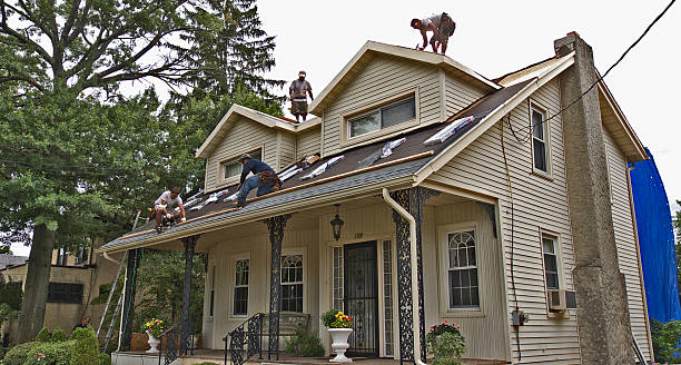 Best Roof Restoration Services  in North Zanesville, OH